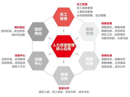 飛宇公司集中力量完善員工人事信息 助推人力資源管理數(shù)字化建設